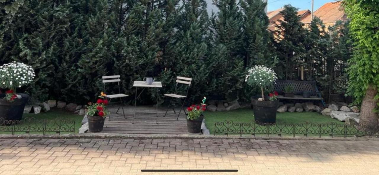 4 Stars Rooms Near Airport Scitarjevo Exteriör bild